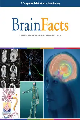 دانلود کتاب حقایق مغز Brain Facts زبان اصلی pdf